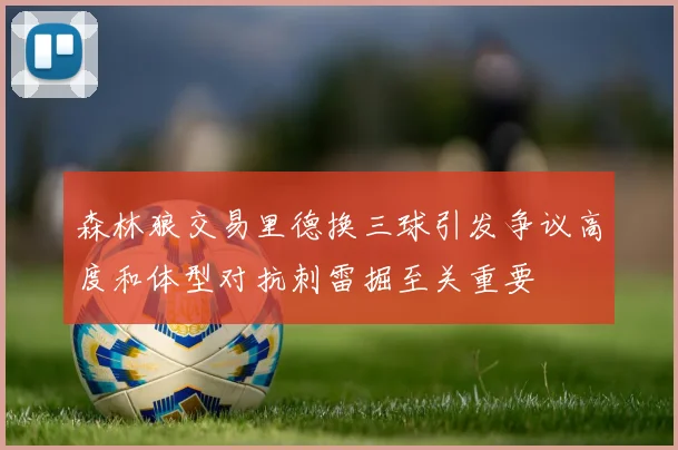 森林狼交易里德换三球引发争议高度和体型对抗刺雷掘至关重要