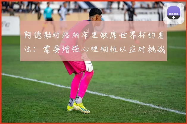阿德勒对格纳布里缺席世界杯的看法：需要增强心理韧性以应对挑战